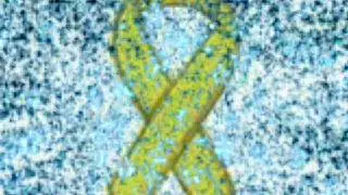 The Yellow Ribbon Project