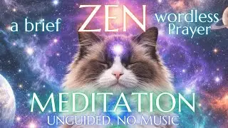 🌟A Brief Zen: For Steady Radiance｜Wordless Prayer (Unguided, No Music)#zen #meditation #keizoku