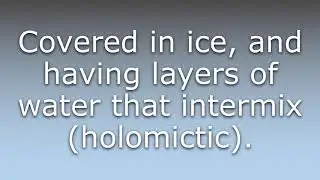 What does Amictic mean?
