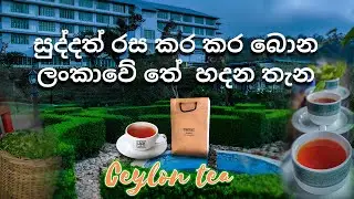 🍃 ලංකාවේ රසම රස තේ හැදෙන විදිහ ☕🏭 At  Heritance Tea Factory Kandapola.