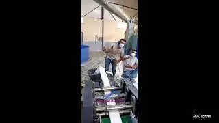 Auto Fabric Zig Zag Cutting Machine Cutter Price Zig Zag Pleat Cotton Making Machine Medical Use