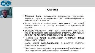 Князюк А.С.  Острая мошонка