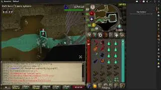 OSRS - Scurrius Guide French