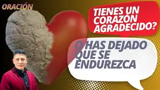 La Gratitud Sana el Corazón Herido