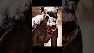 best movie Hindi dubbed #shortsfeed #shorts #shortvideo #short #movie #4kvideo #capcut #viral #edit