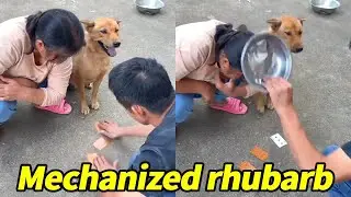 You'll be punished if you guess wrong!