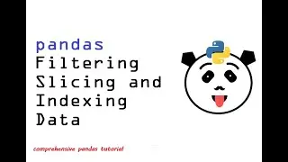 4 - Filtering, Slicing, Indexing Data using Pandas | Comprehensive Pandas Tutorial for Beginners