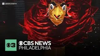 Meet one of the people who brings the St. Joe's Hawk to life in Philadelphia