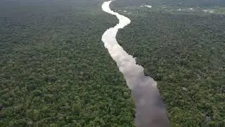 Amazon rainforest at sunset (peru 2291)