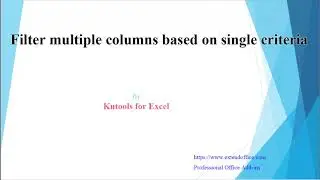 How to filter multiple columns based on single criteria in Excel?