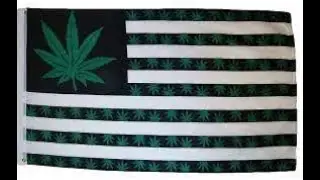 Marijuana Industry Update