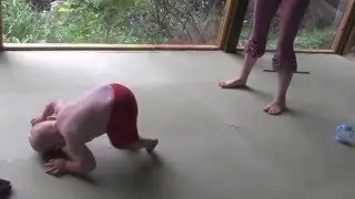 Emerald Monkey Walk Qigong