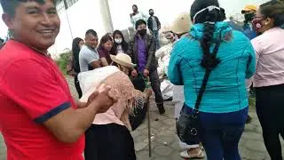 Anthony y los consentidos Del Ecuador  en Cayambe 2021  wasipichay