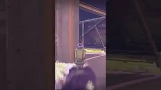 What the hell is this Bungie?! Victim Mode?! #shorts #destiny2 #bug #destiny2renegades