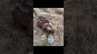 Abandoned Flathead Ford V8 | should I save it? #ford #flathead