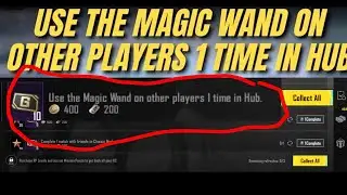 Use the Magic Wand on Other Players 1 time in Hub.