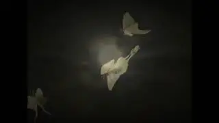 Sunju Hargun - ٹرانس (SYO Remix)