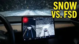 Can Tesla FSD Recognize Snow at Night!