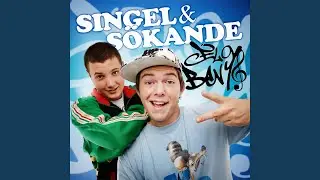 Singel och s&ouml;kande (Radio Edit)