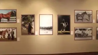 War Horses: Bred to Serve