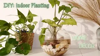 ।।DIY: Plants Decoration For Centre Table।।Make Your Own Table Centre Piece।।