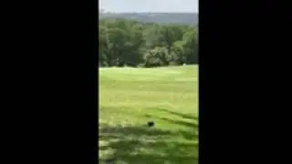 Nick Haas Hole-n-One 2023 Texas 4A UIL STATE GOLF CHAMPIONSHIP