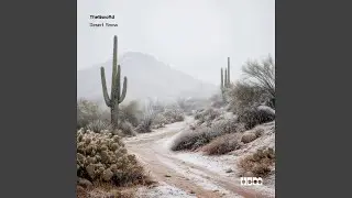 Desert Snow
