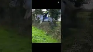 getting ready for hunting #equestrain #horse #peroni #hunting #viral #viralshort