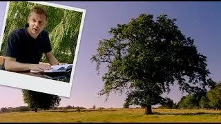 Йомен Ингланд - Timelines.tv