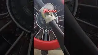 North American Texan/ Harvard