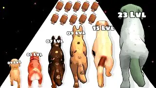 DOG EVOLUTION RUN 3D: Dog Eat Run Game  ⭐ Merge Simulator Battles