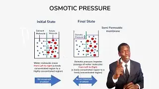 FOR 1; LESSON 73-The Osmotic pressure (TOPIC-CELL PHYSIOLOGY).mp4
