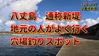 【釣り場案内#3】八丈島の八重根新堤・地元の人しかあまり行かない穴場