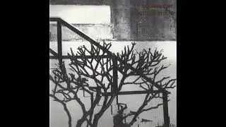 Ed Kuepper - Car Headlights