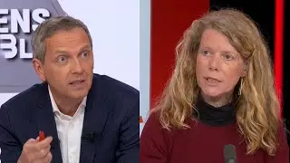 Cette professeure de droit public assène une critique foudroyante au Conseil constitutionnel