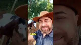 Minha Jornada