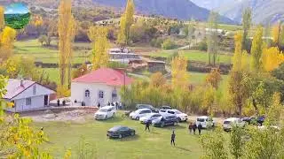 Bitlis mutki sarı &ccedil;i&ccedil;ek koy i&ccedil;i