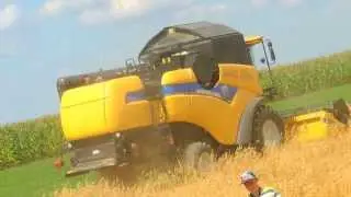 Żniwa 2013 wraz z New Holland CX5080! Harvest in Poland! DabroLs! FULL HD