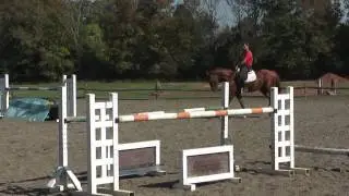 FLAT & JUMPING: 6 YEAR OLD - FAUST Z (FURIOSO II X RAMIRO) X GALOUBET