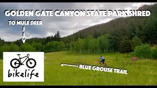 Golden Gate Canyon State Park - MTB Mule Deer - Raw Audio