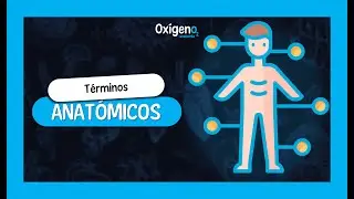 Términos Anatómicos