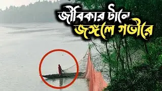 জীবিকার সন্ধানে সুন্দরবনের নদীতে মাছ ধরা  |Sundarbans Real Fishing Life