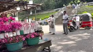 At the Kelaniya temple