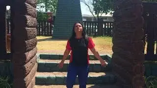 Fight Song ( PerDev ) - St. Louis