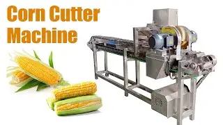🌽🌽Hot-Selling Corn Cutter Machine | How Does Fresh Maize Head And Tail Removing Machine Work?#corn