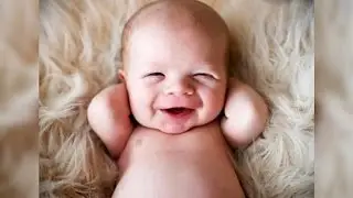 The Gift Of Humor | Creation Moments Minute