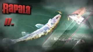 Rapala Tippek-Trükkök 2. rész - Slab Rap és Rippin' Rap vertikális wobblerek