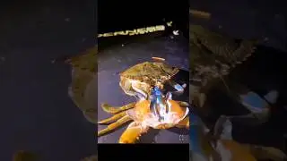 Molting crab #timelapse #nature #animals #molting #moltinghermit #crustacean #ocean #oceanlife