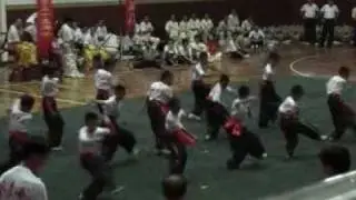 Цай Ли Фо 1 - www.taishe.ru - Choy Li Fut
