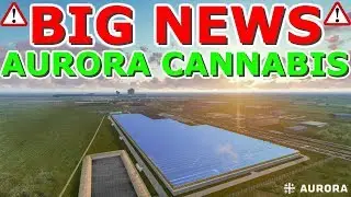 Big News For Aurora Cannabis - At What Price Is Canopy Growth A Buy ? Stock Market News 2019 ACB CGC